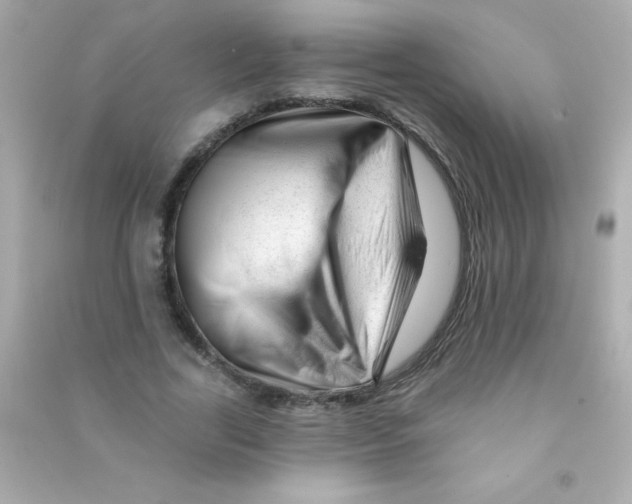 X0000090480731200708102156
