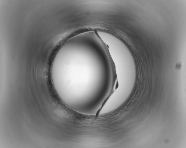 X0000090480732200708102156