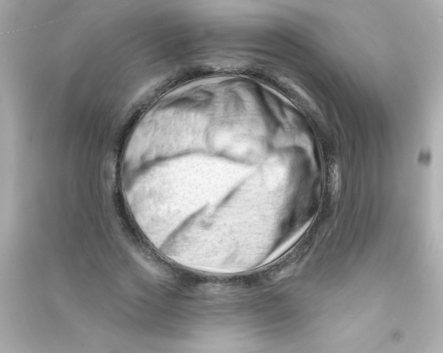 X0000090480733200708102156