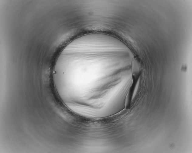 X0000090480735200708102156