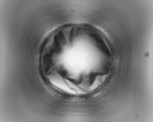 X0000090480736200708102156