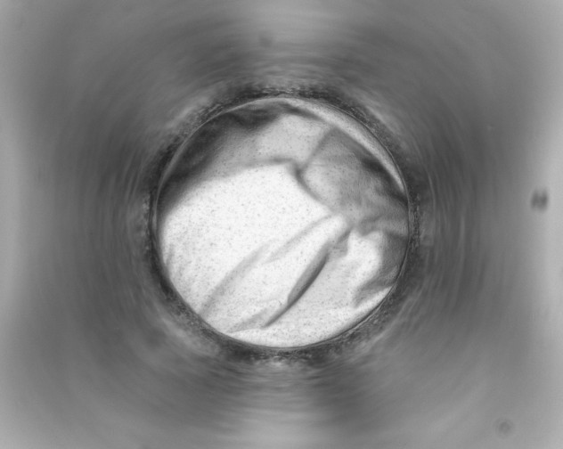 X0000090480737200708102156