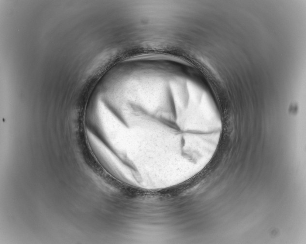 X0000090480738200708102156