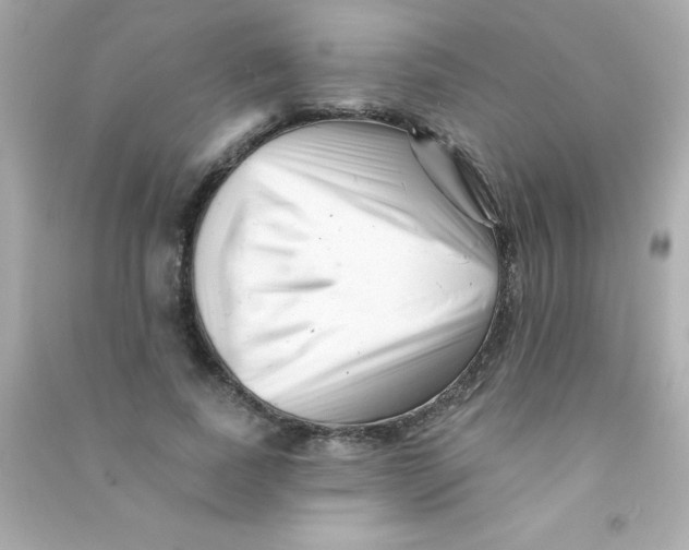 X0000090480739200708102156