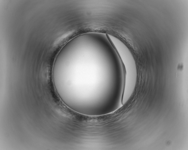 X0000090480740200708102156