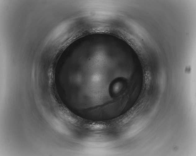 X0000090480741200708102156