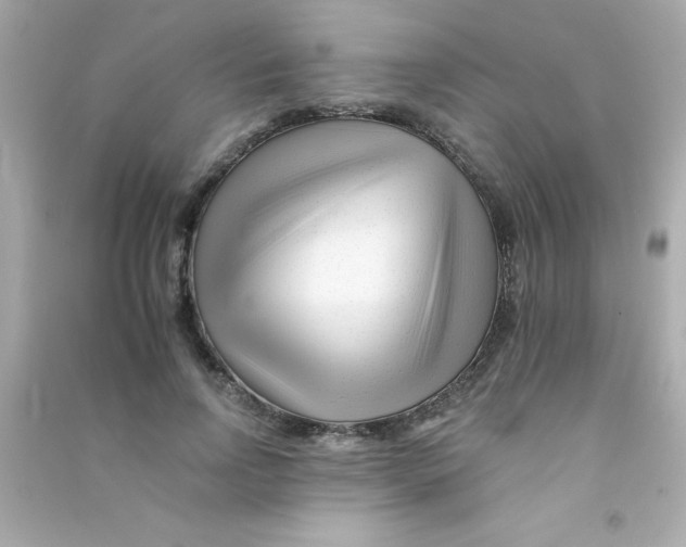 X0000090480742200708102156