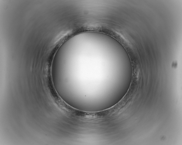 X0000090480744200708102156