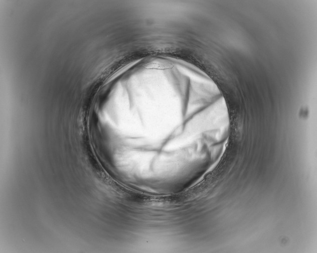 X0000090480746200708102156