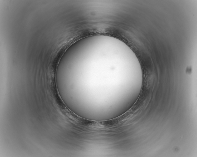 X0000090480747200708102156