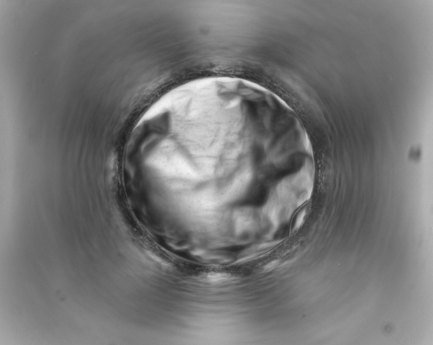 X0000090480748200708102156