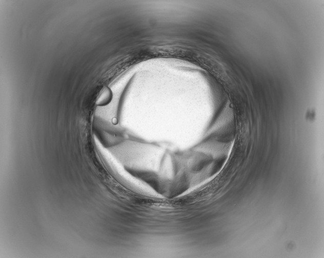 X0000090480749200708102156
