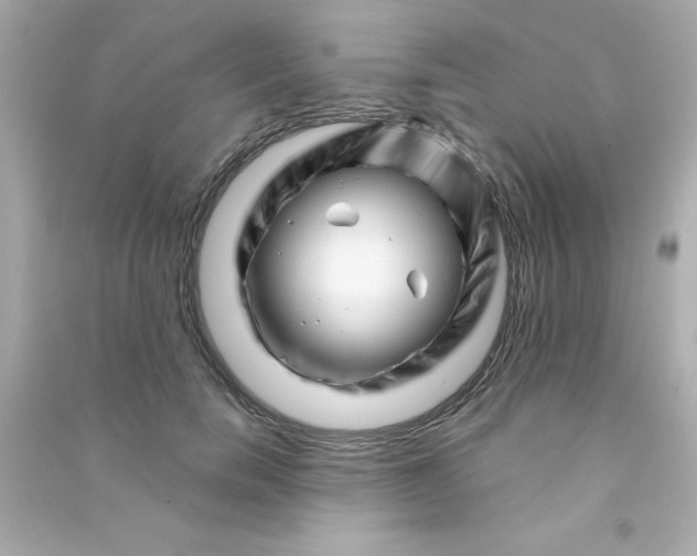 X0000090480750200708102156
