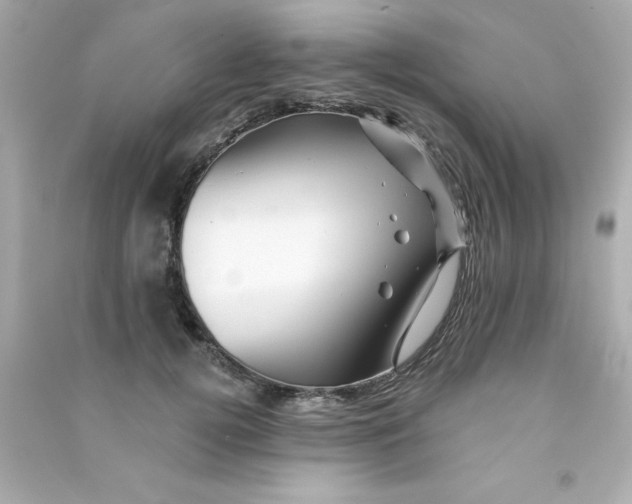 X0000090480752200708102156