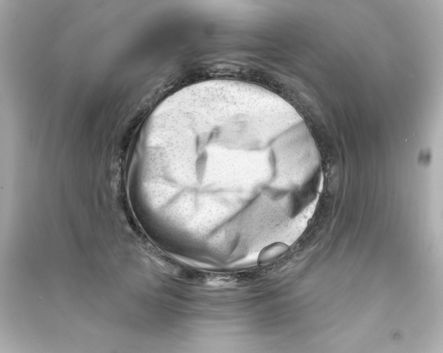X0000090480753200708102156