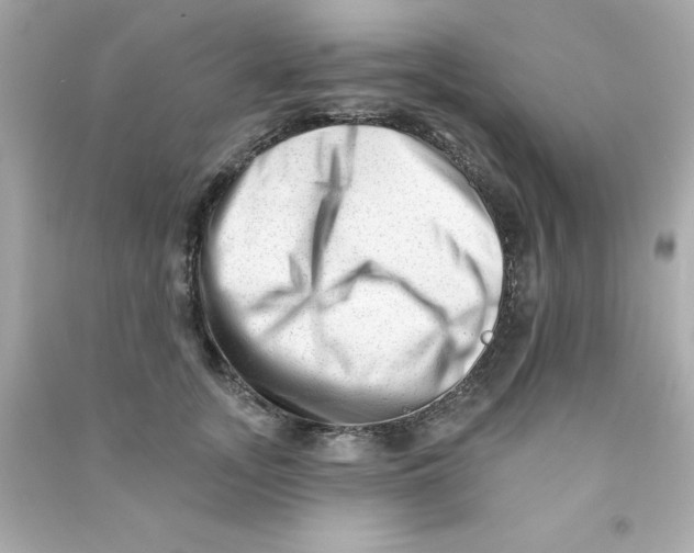 X0000090480755200708102156