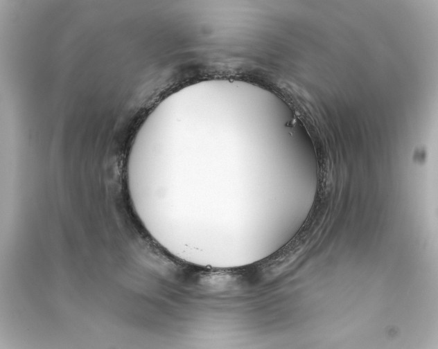 X0000090480759200708102156