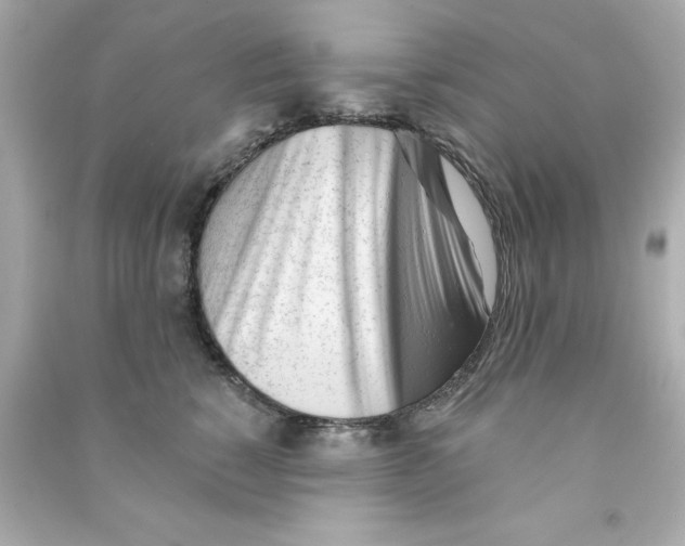 X0000090480760200708102156