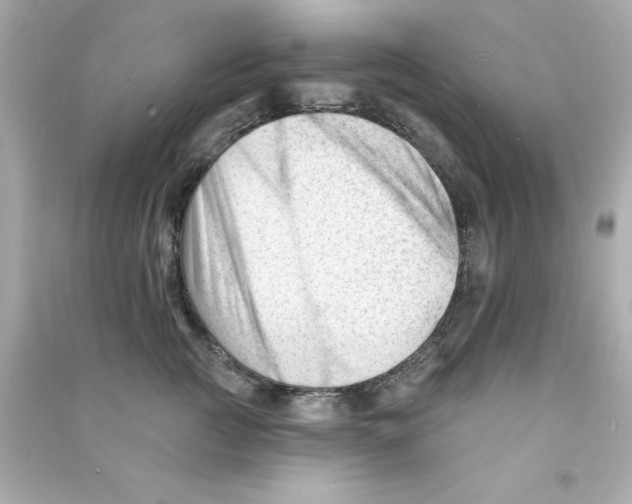 X0000090480761200708102156