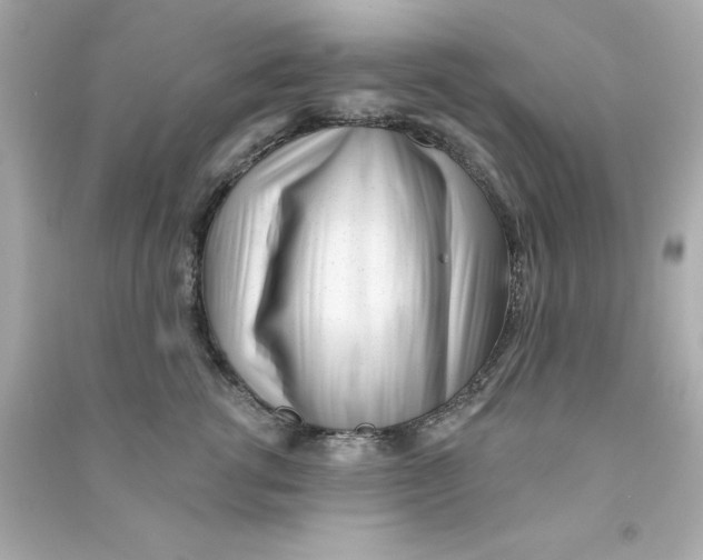 X0000090480762200708102156