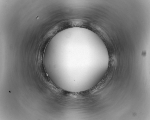 X0000090480763200708102156