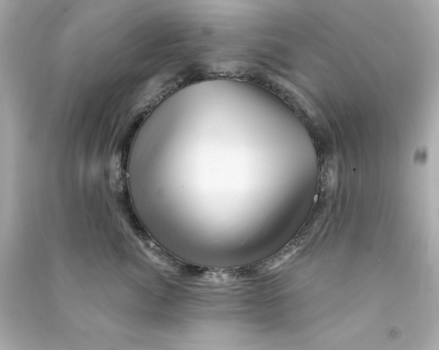 X0000090480764200708102156