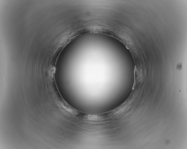 X0000090480766200708102157