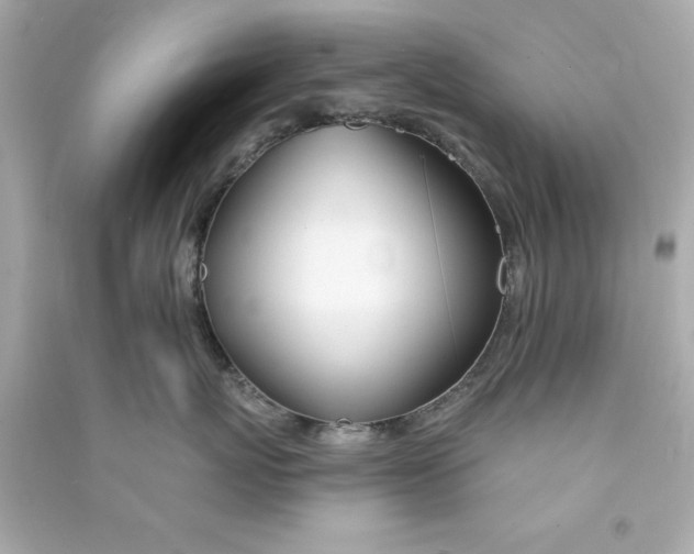 X0000090480767200708102157