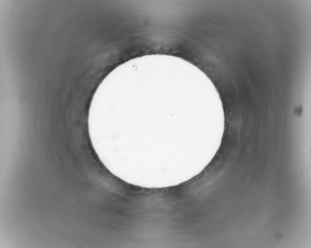 X0000090480769200708102156