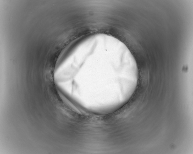 X0000090480770200708102156
