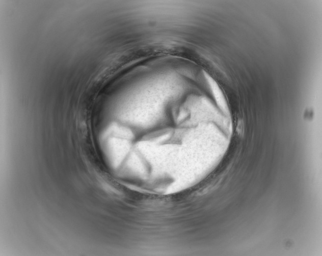 X0000090480771200708102156