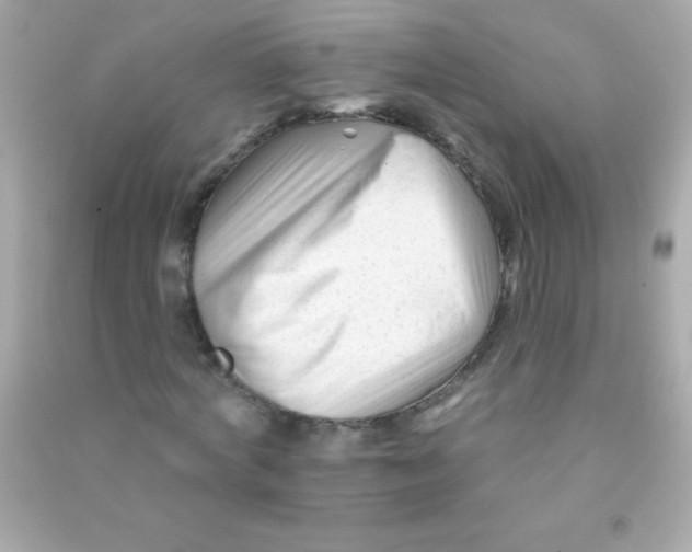 X0000090480772200708102156
