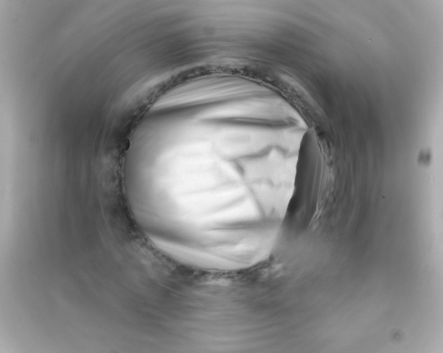 X0000090480773200708102156