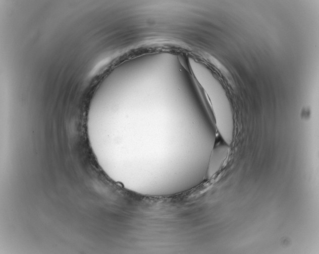 X0000090480775200708102156