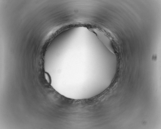 X0000090480776200708102156