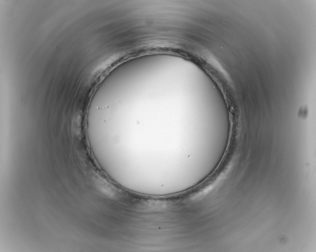 X0000090480777200708102156
