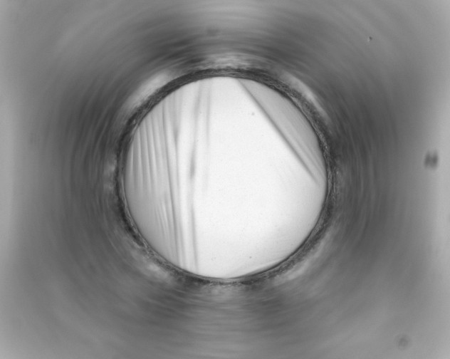 X0000090480778200708102156
