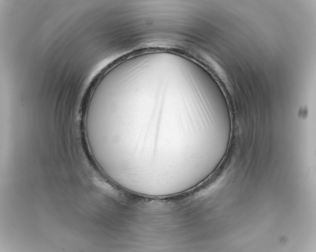 X0000090480779200708102156