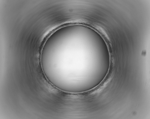 X0000090480781200708102156