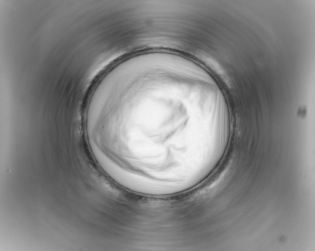 X0000090480782200708102156
