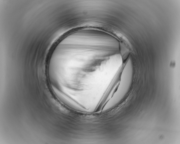 X0000090480784200708102156
