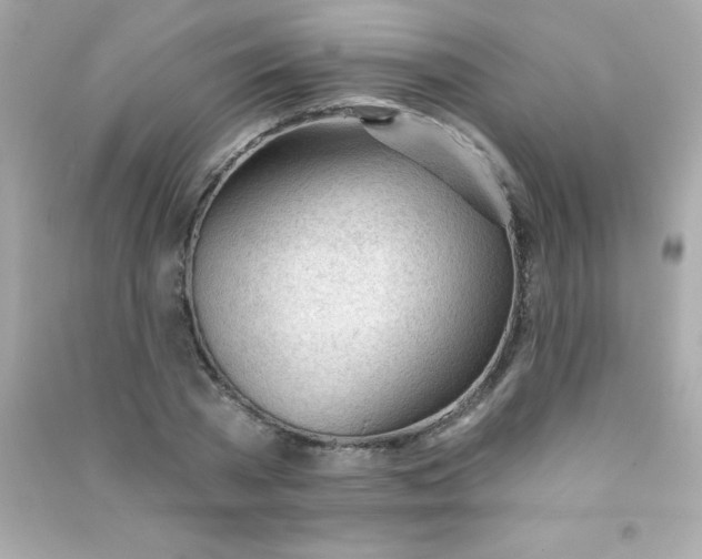 X0000090480785200708102156