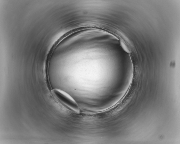 X0000090480788200708102156