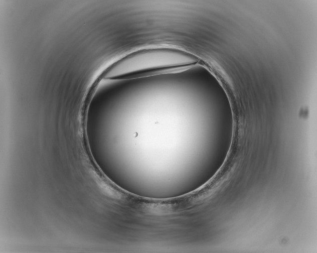 X0000090480789200708102156
