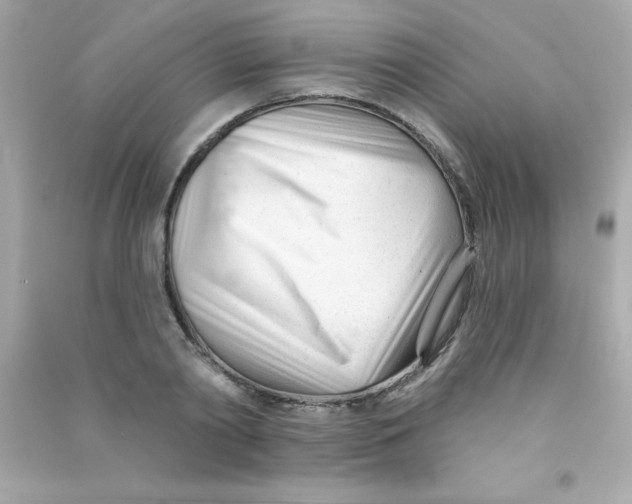 X0000090480790200708102156