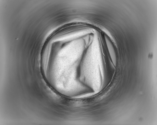 X0000090480791200708102156