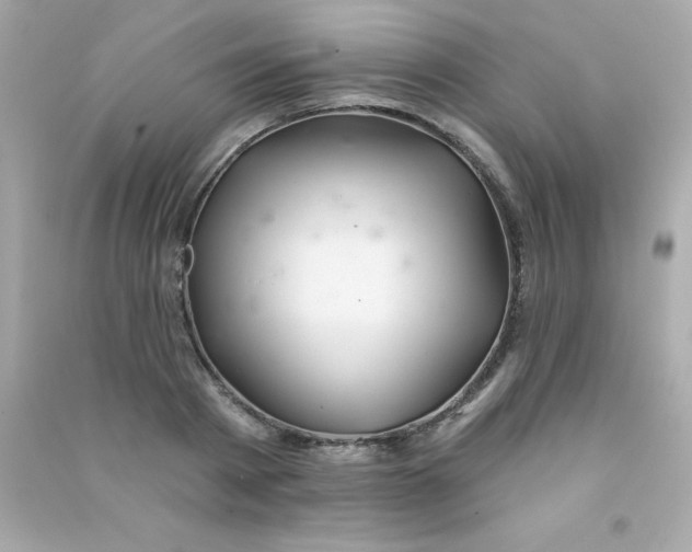 X0000090480793200708102156