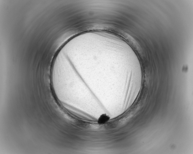 X0000090480794200708102156