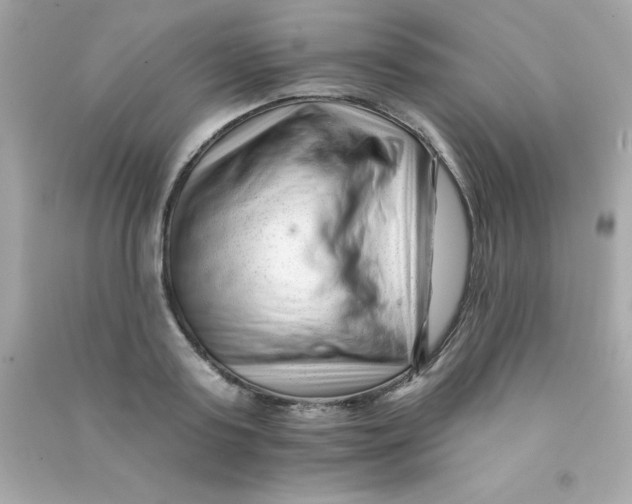 X0000090480795200708102156