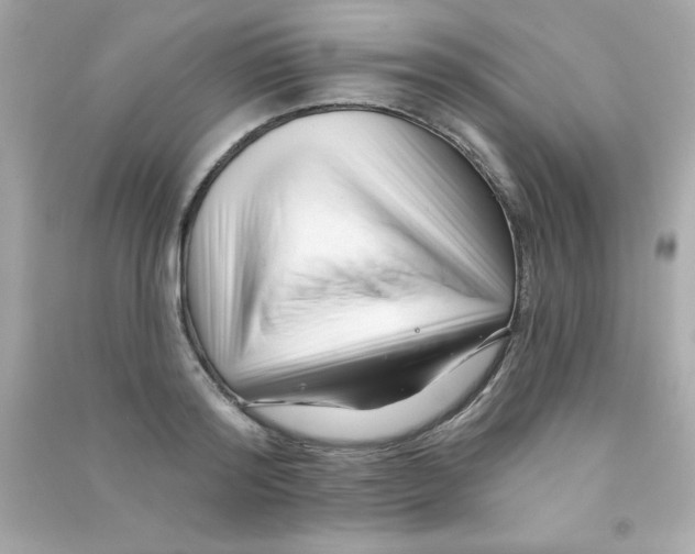 X0000090480796200708102155